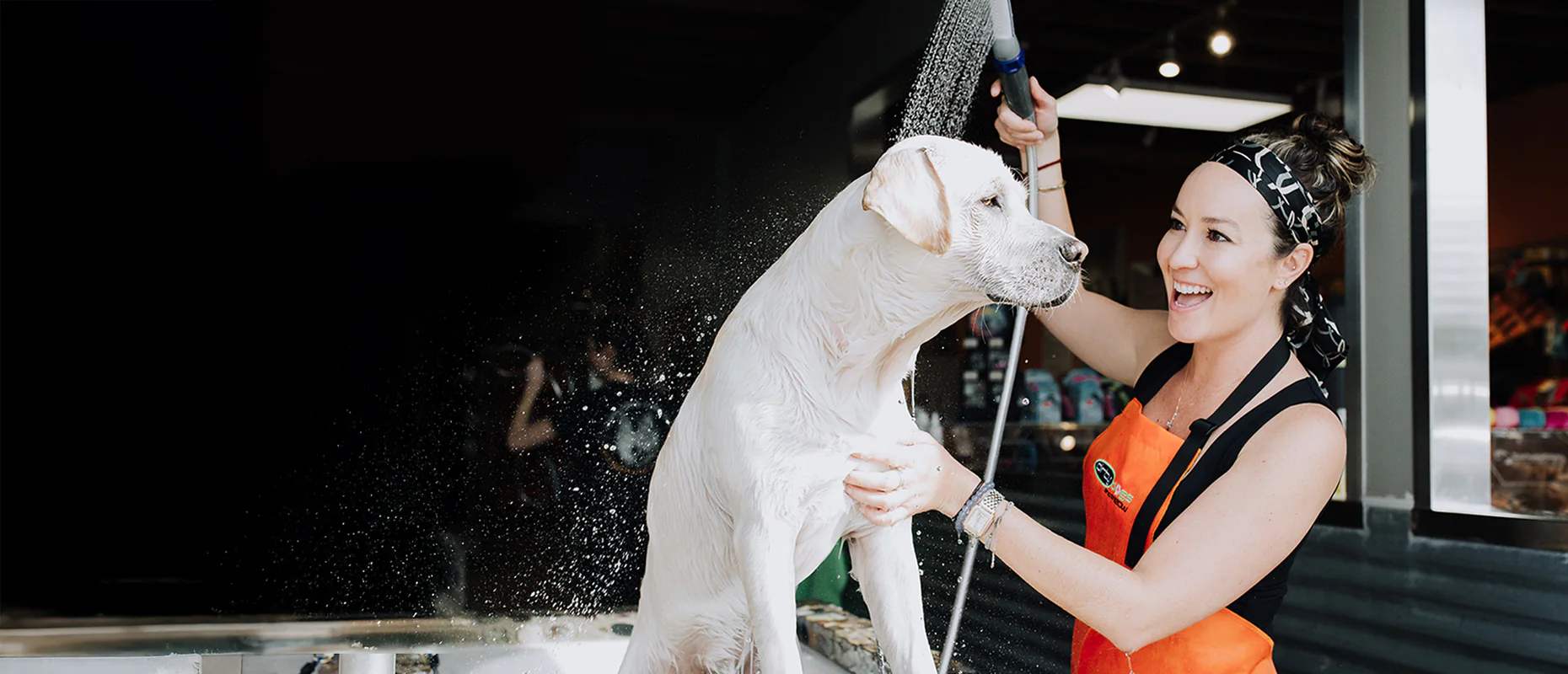 Unleash Your Pet's Best Self